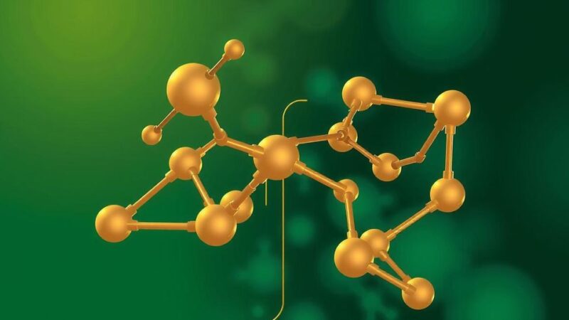 Peran LDHB dalam Menekan Ferroptosis pada Sel Kanker
