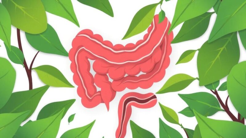 Kesadaran Pentingnya Skrining Kanker Kolorektal di Bulan Maret
